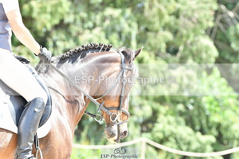 230623-135207-00858 - Cls 5 Elementary 43