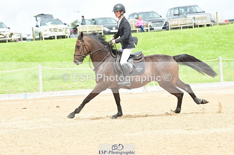 230813A-134502-13276 - Cls 49 Chard Eq 5yr Old Championship