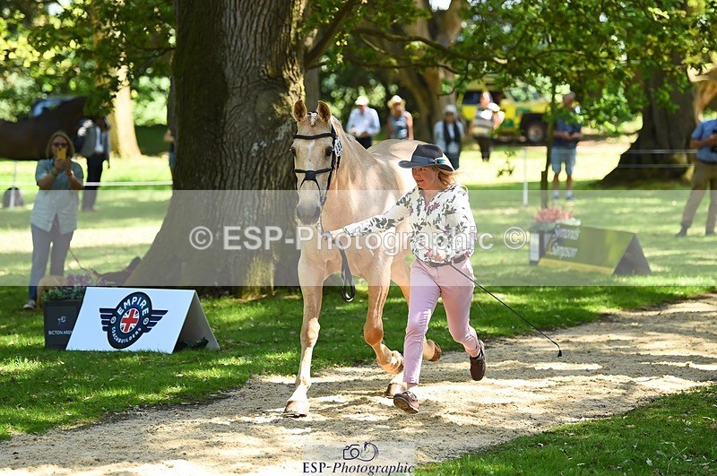 230524-150920-00092 - 356-THE_DUMB_BLONDE-Kat_Raybould-WEDTrotUp+DR