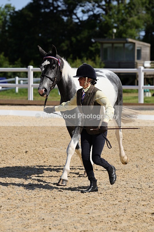 1X9A0752 - Class 4: Youngstock 1, 2, 3 year old to exceed 153cm