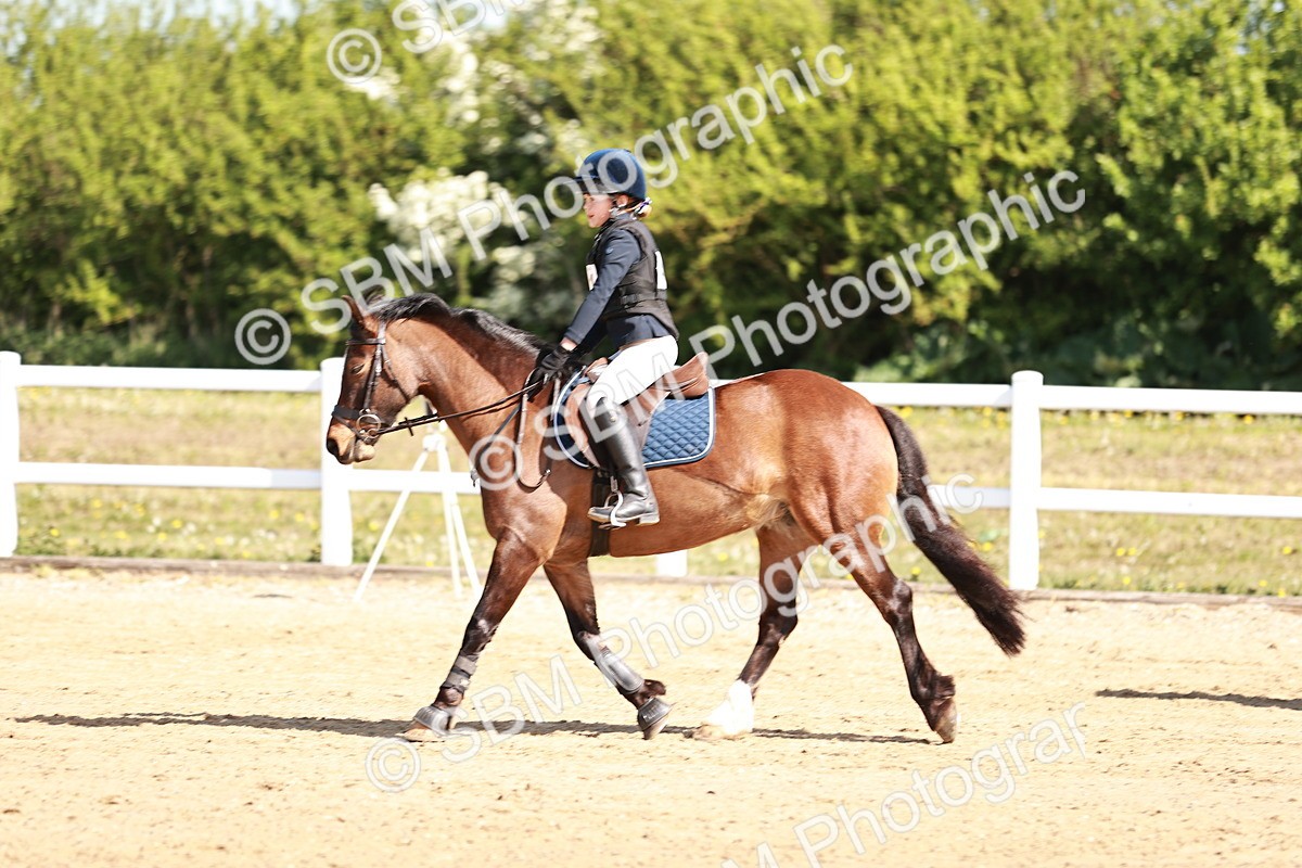 SBM_006824 - Class 2 - 50cm