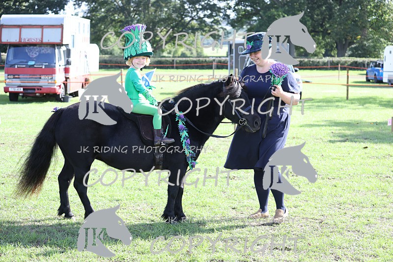 APP_4069 - Class 19 Fancy dress