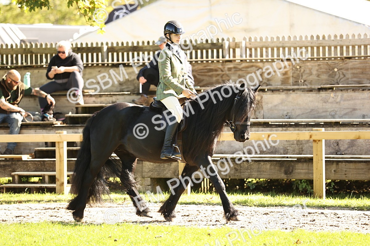 SBM_19076 - S3 - TSR Ridden Pony Showing