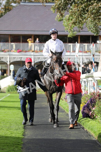 yr07102022r4-51 - Race 4 3.50pm William Hill Best Odds Guaranteed Stakes