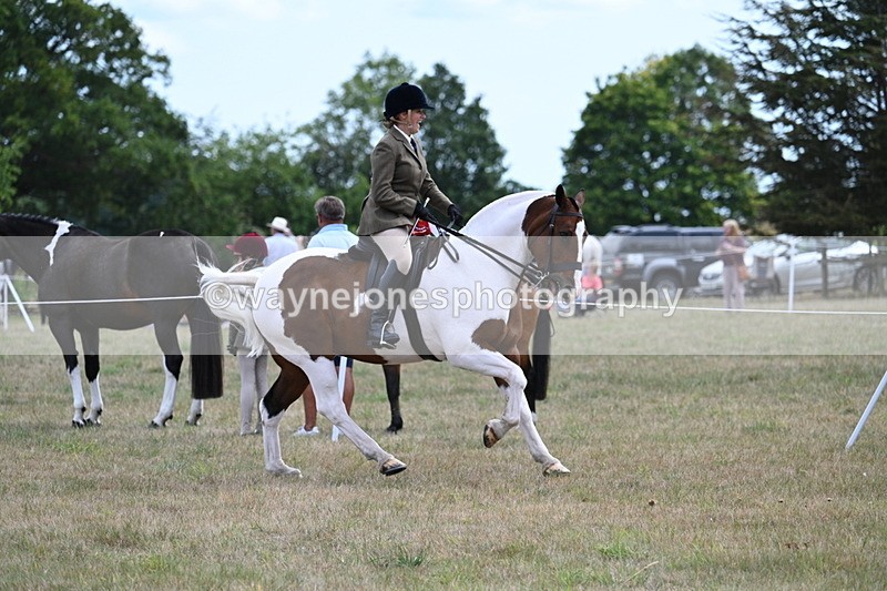 WJ7_5614 - Class 12 Ridden Cob