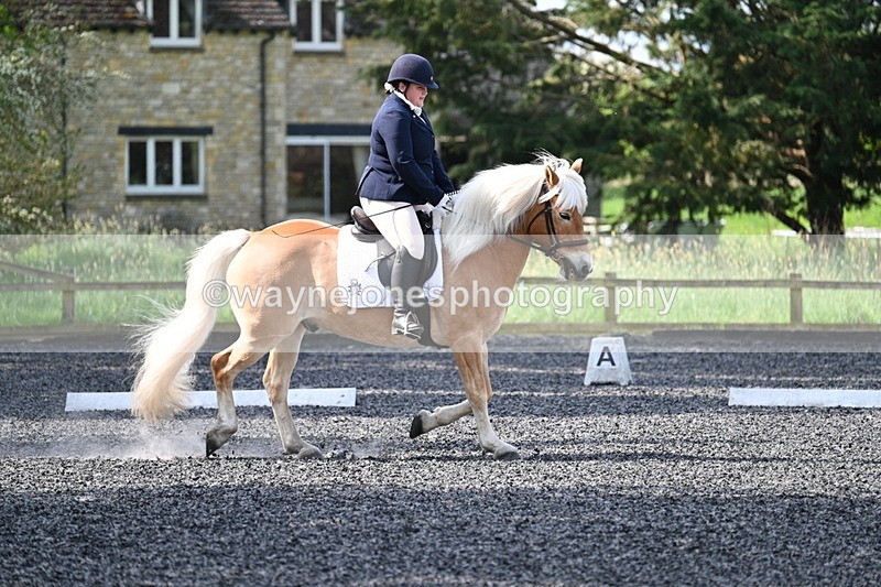 WJ7_7969 - Time 10:11 to 10:27