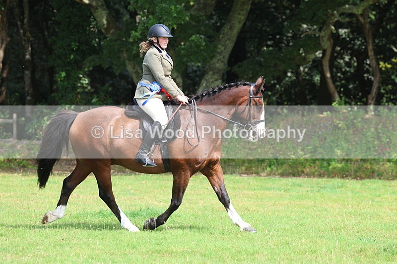 3E7A6056 - Working Hunter Championship