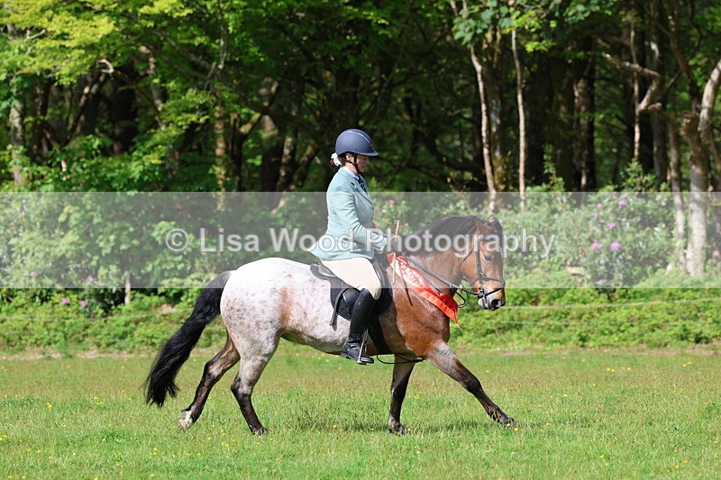 3E7A2771 - Working Hunter Championship