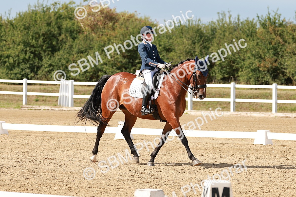 SBM_002528 - Class 11 - Medium 6