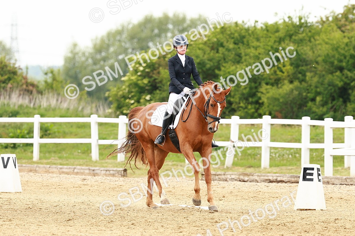 SBM_001335 - Class 7 - Novice 5