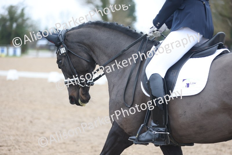 20251207-0496 - Class 3 - Novice 5