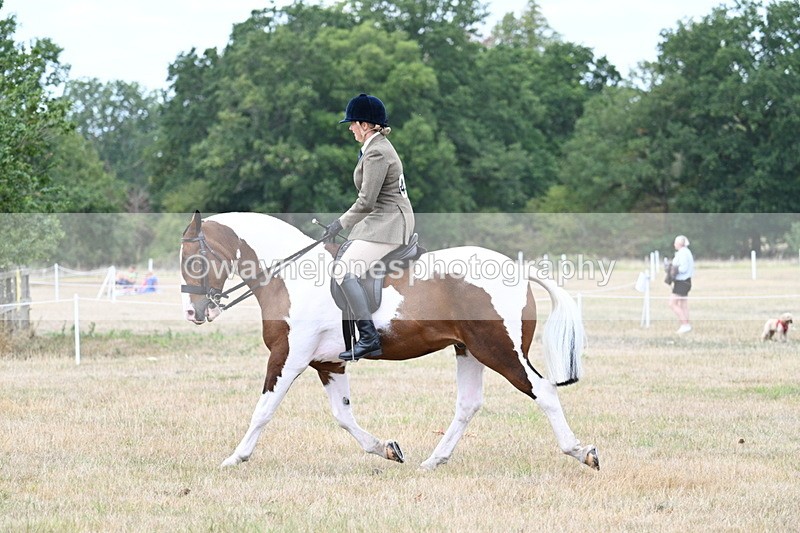 WJ7_4971 - Class 12 Ridden Cob