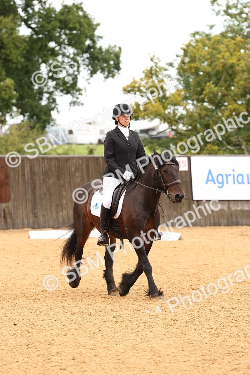 SBM_00592 - D1 - Small Tour Championship Intro 1