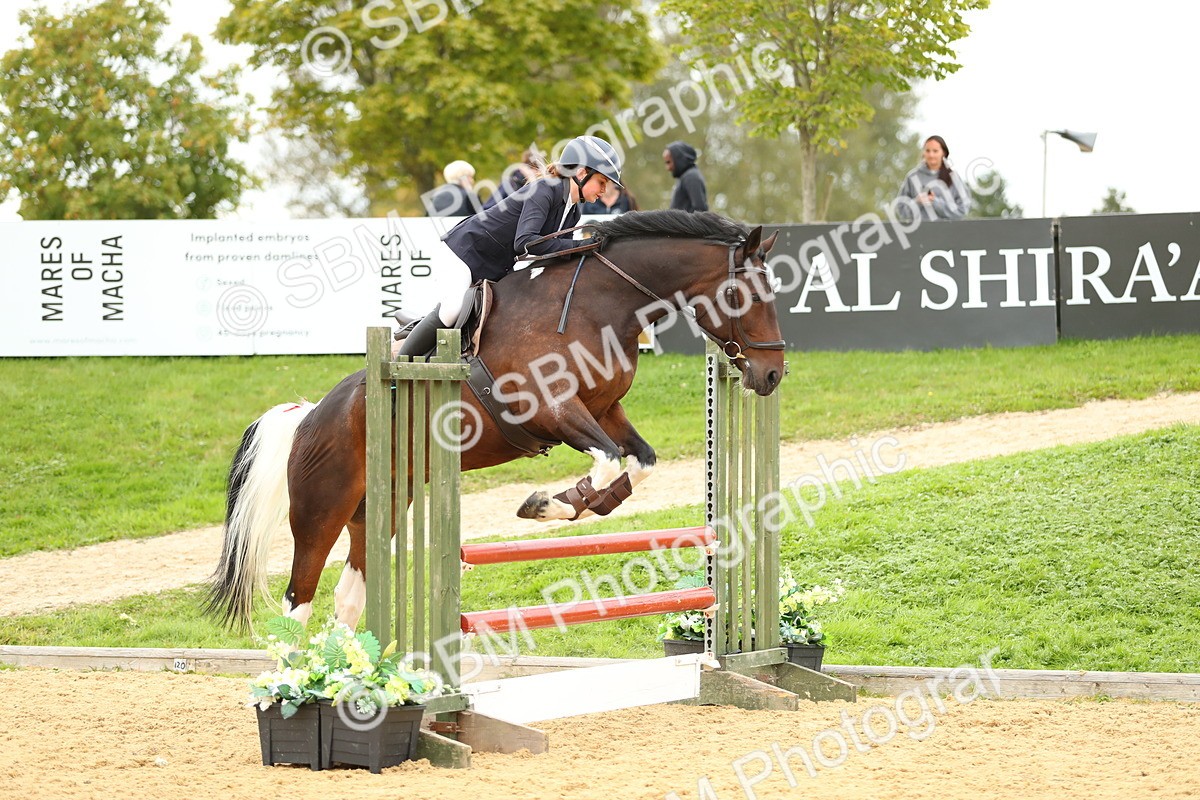 SBM_76068 - J19 - Junior 90cm Supreme Championship