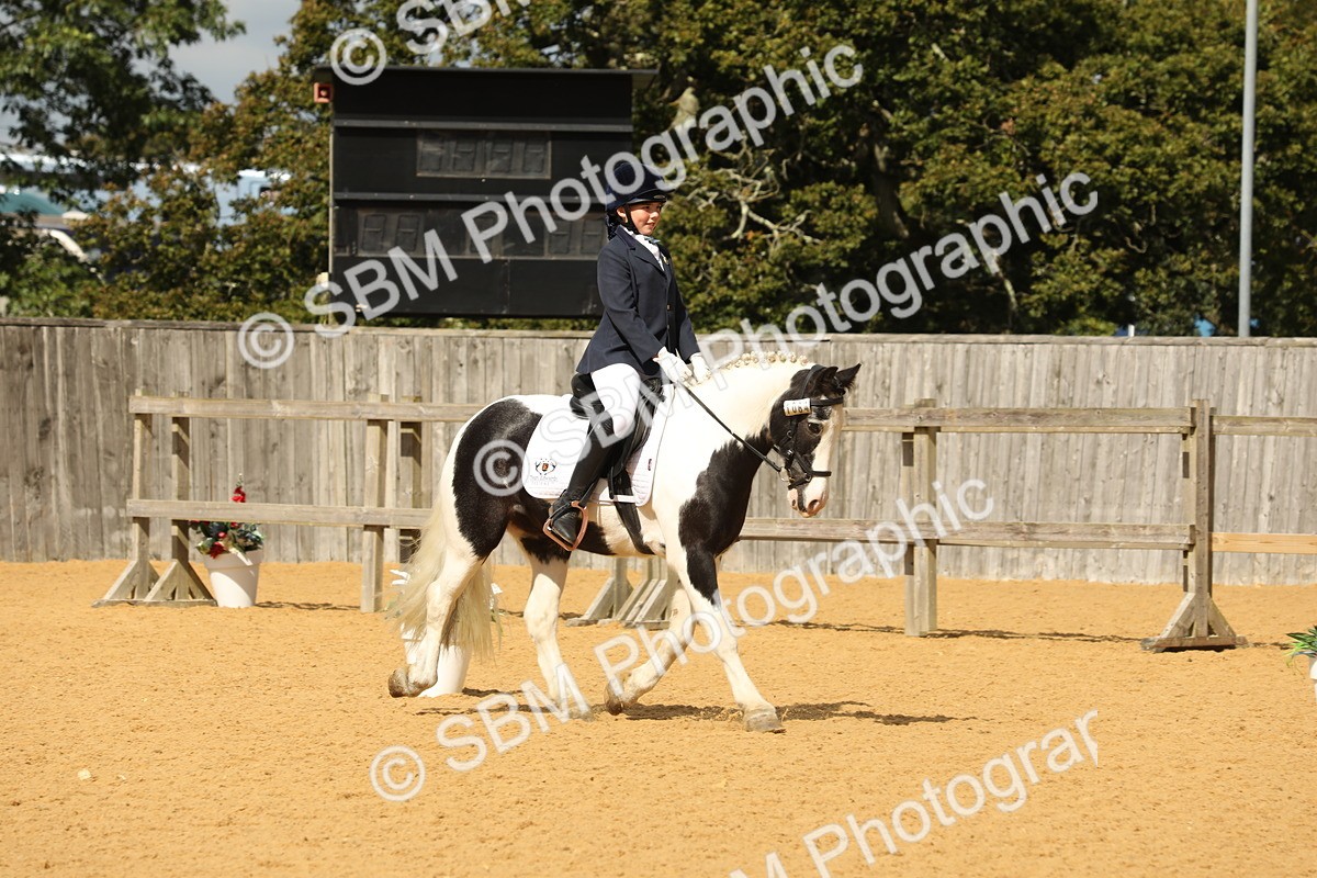 SBM_41909 - D21 - Junior Championship - Intro A