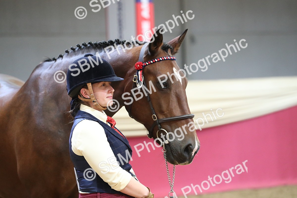 SBM_06405 - Class 9R Regional- IH Pre Vet