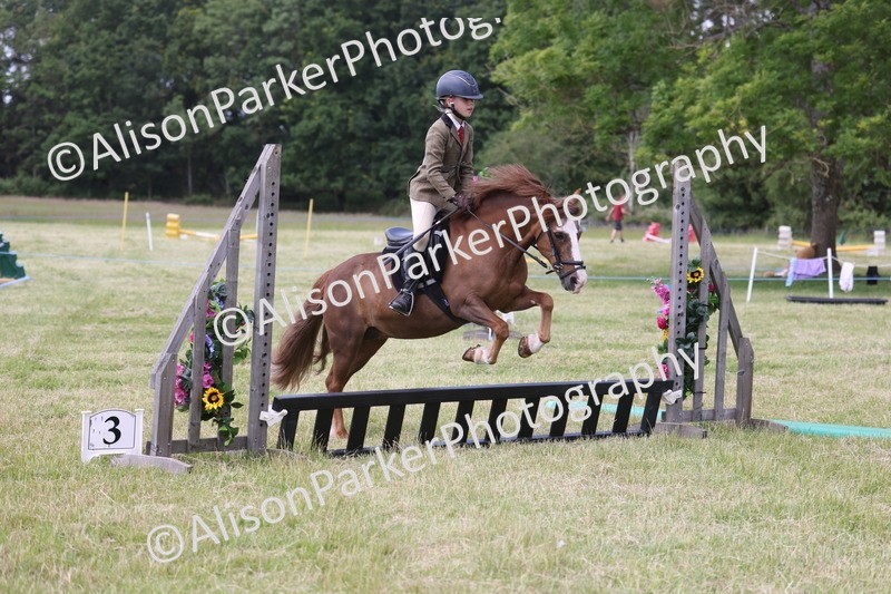 20260614-2071 - Class 21 - Novice Working Hunter Pony