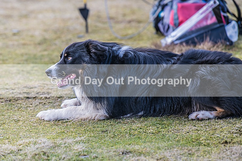 Black Combe-3 - Black Combe Fell Race Saturday 7th March 2026