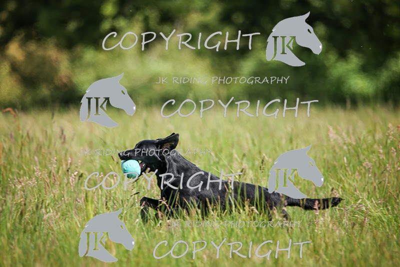 2R6A8090 - 18 Abbie