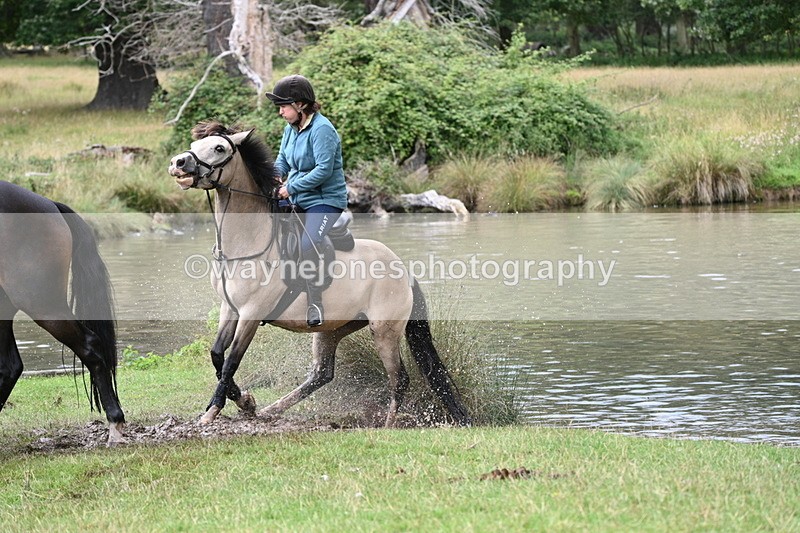 WJ7_4112 - Time at Water 12:52 to 13:22