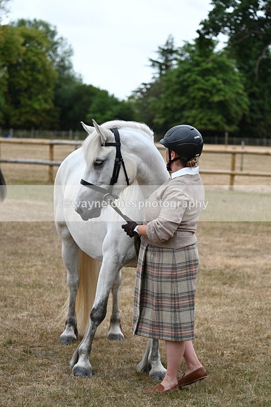 WJ7_9156 - Class 4a Prettiest Mare 14.2hh and over