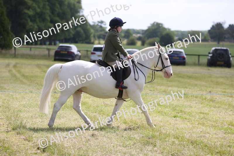 20260614-0786 - Class 20 - Beginners Working Hunter Pony
