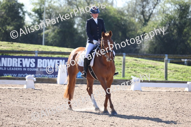 20260318-0173 - Class 2 - Intro 4