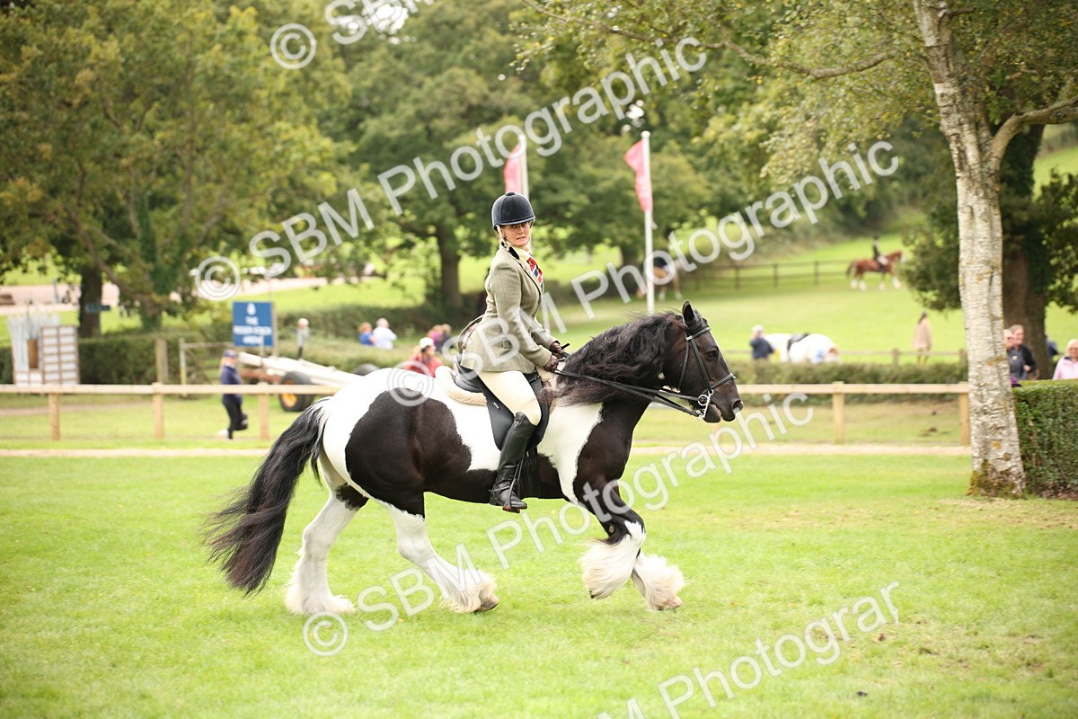 SBM_73507 - S68 - Traditional Cob Ridden