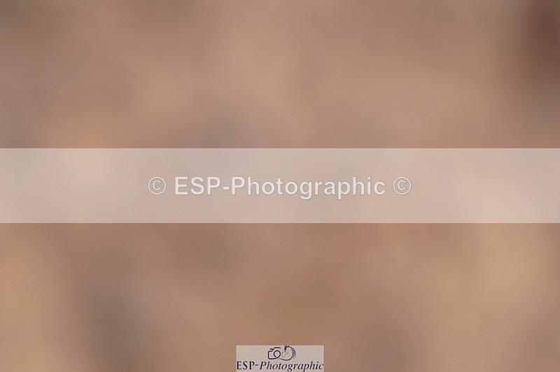 240418A-131709-03022 - Cls 37, Amateur 1.05m