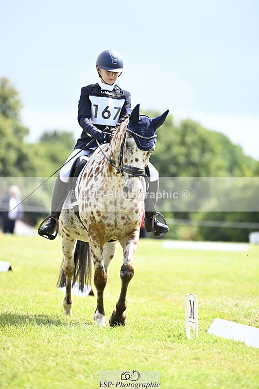 240824X-125524-26614 - D80 Section E and F 12.00 to 13.20