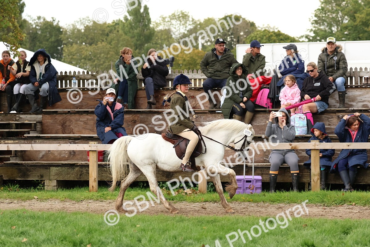 SBM_45004 - S27 - Young Veteran Ridden