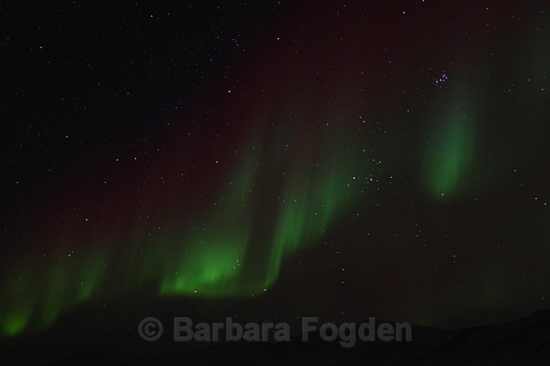 Northern light in Adventdalen 4974 - Polar night