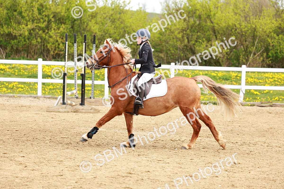 SBM_003549 - Class 2 - 50cm