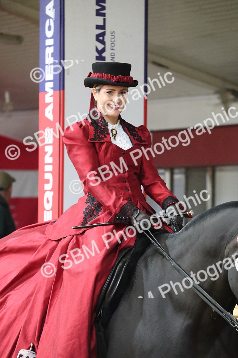 SBM_12099 - Class 107 Ridden Costume- Astride Adult (20+)