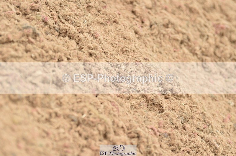 230611A-122514-05482 - Cls 34 1.05m Amateur Qualifier