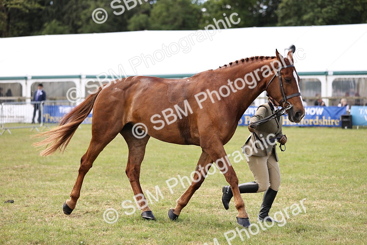 SBM_14753 - Class 88-89 - LIHS BSHA Rising Star of Ridden Hunter Type