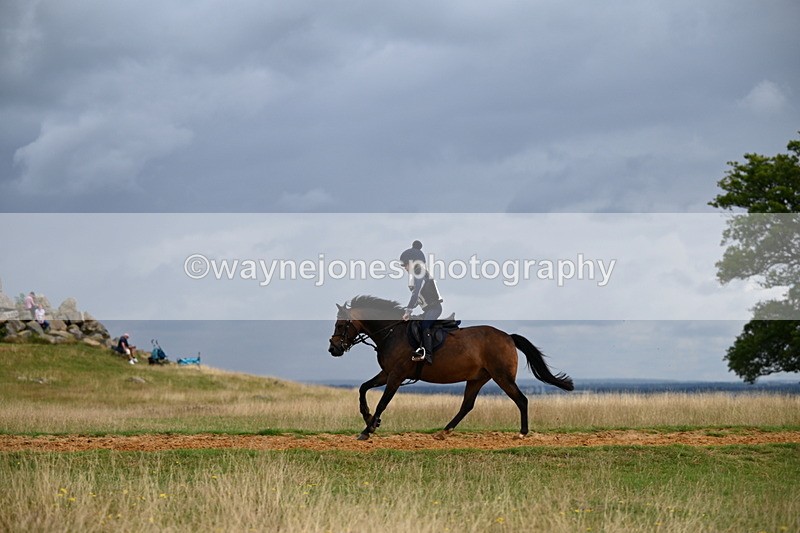 DSC_4703 - Time at Statue 11:10 to 11:42