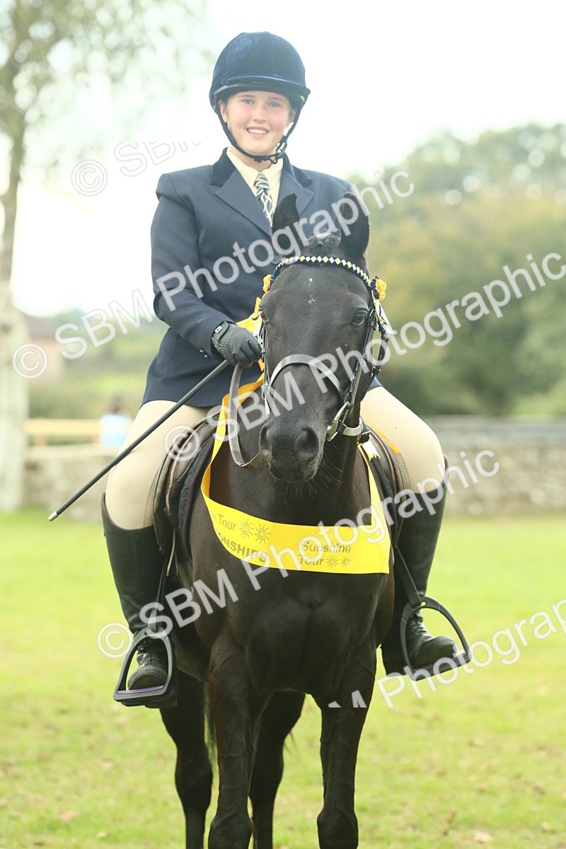 SBM_74150 - S 61 - Show Pony & Show Hunter Pony Ridden