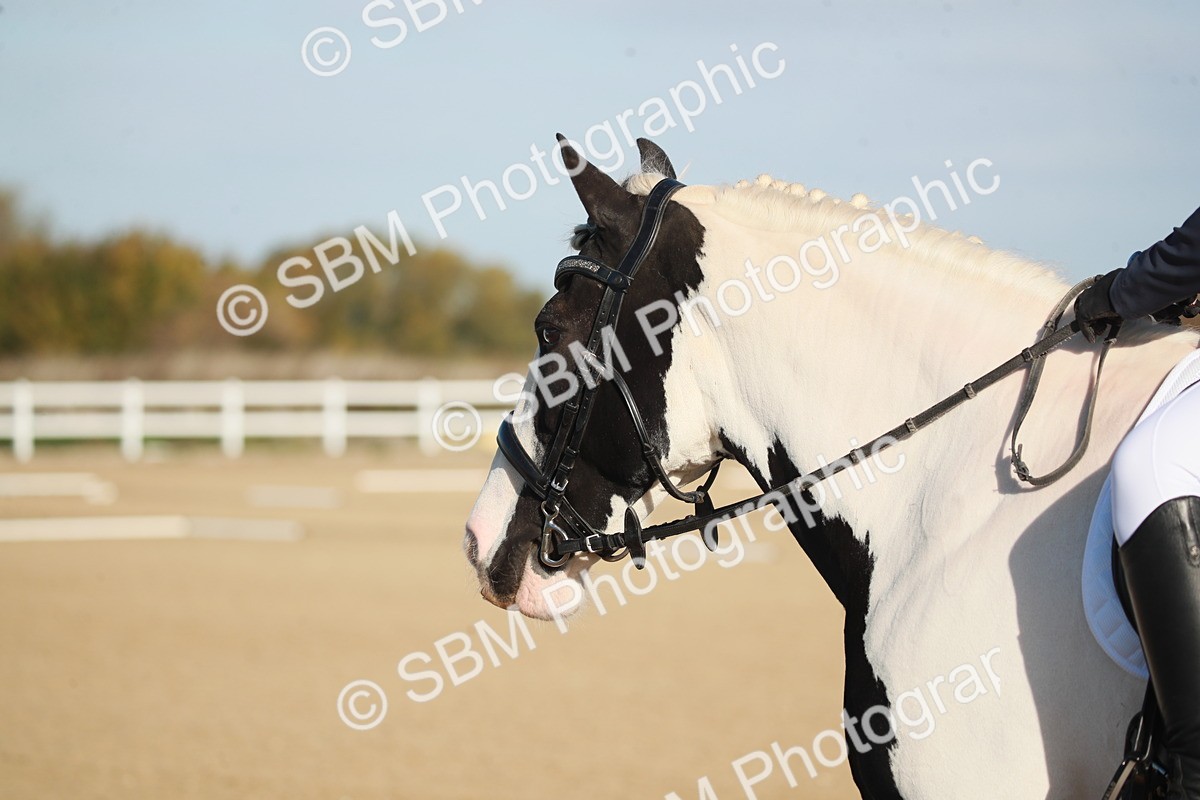 SBM_000294 - Class 3-4-11-12 - MQ Open-U21 Intro 2 N2