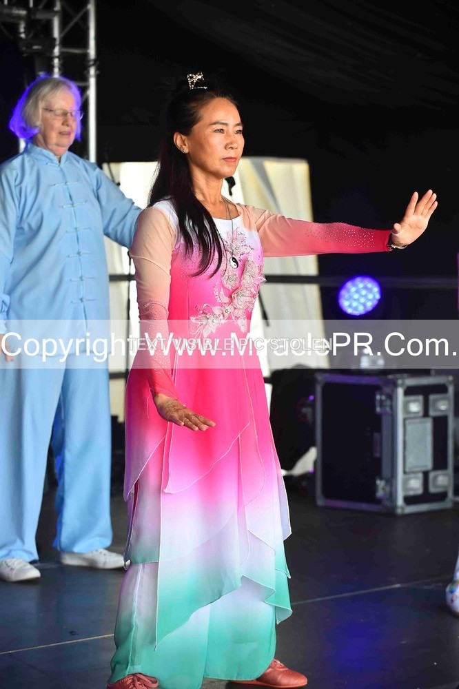 SH4_0052 - Tai Chi with Lisa Kay.