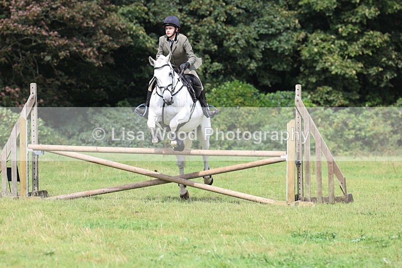 3E7A5964 - Class 28: 75cm Working Hunter