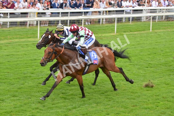 yr24072021r1-89 - Race 1 2.05pm Sky Bet Jump Jockeys Nunthorpe