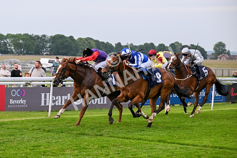 160626-Race 2-Lorcas Waltz-3843 - Race 2 19.00pm Connexin Ultrafast Maiden Stakes