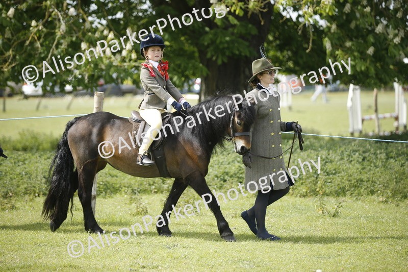 20260426-1855 - Class 7 - Pony Judge Would Most Like To Take Home