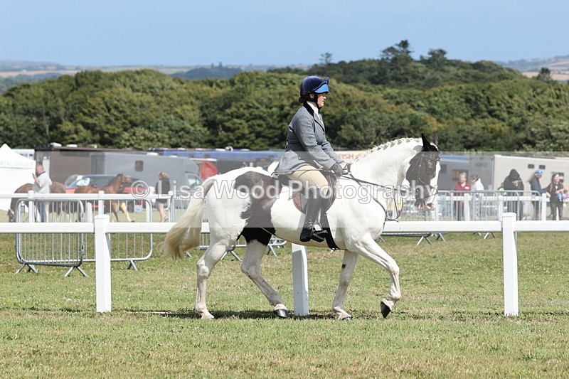 JPP_2265 - Class 19: Working Hunter 60cm