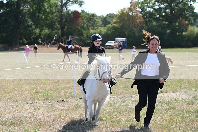 WJ6_7891 - Class 36 Lead Rein