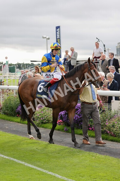 yr24092021r2-12 - Race 2 2.05pm William Hill Extra Places Races Stakes