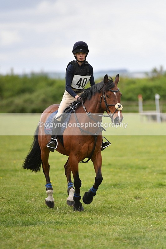 WJ5_3737 - Class 6 80cm