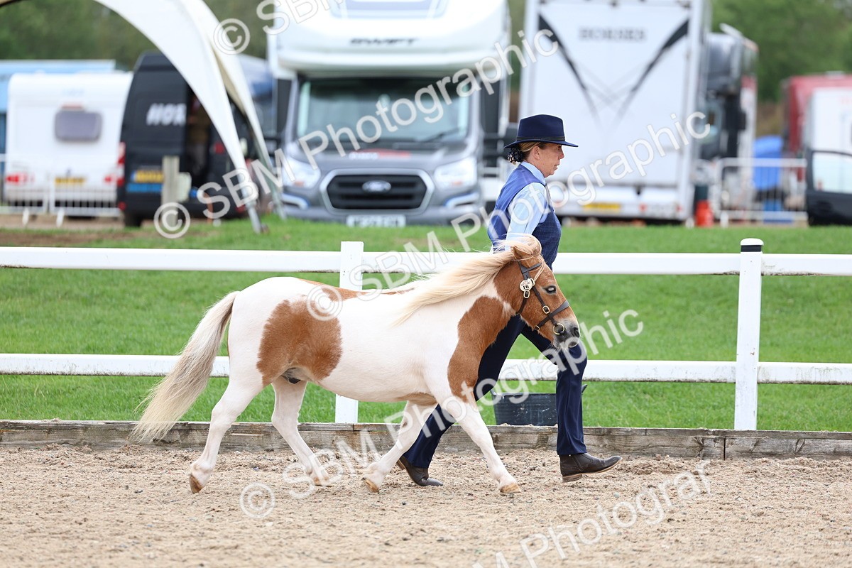 SBM_05875 - Class 29 - IH Veteran Pony