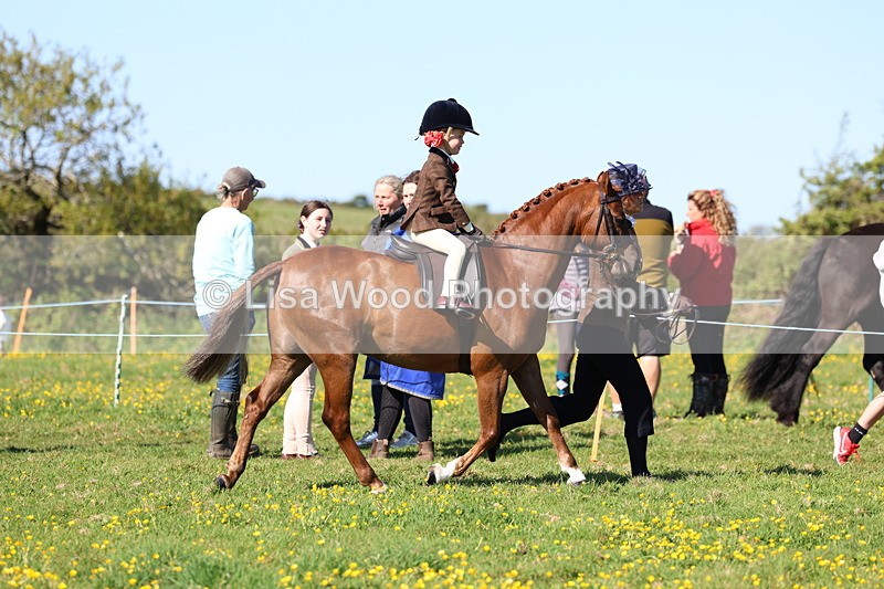 3E7A8797 - Class 2: Lead rein